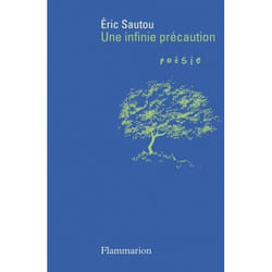 Flammarion Une infinie précaution livre poésie Français