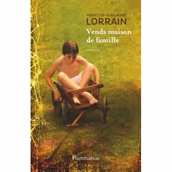 Flammarion Vends maison de famille, Littérature, Français, Livre broché, 220 pages