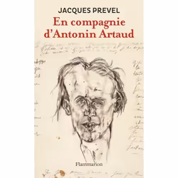 Flammarion En compagnie d’Antonin Artaud, Littérature, Français, Livre broché, 496 pages
