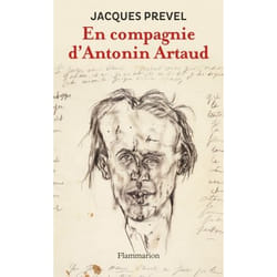 Flammarion En compagnie d’Antonin Artaud livre Littérature Français