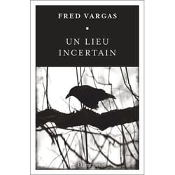 Flammarion Un lieu incertain livre Littérature Français