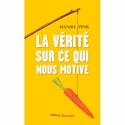 ISBN La vérité sur ce qui nous motive, 256 pages