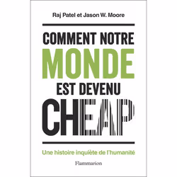 ISBN Comment notre monde est devenu cheap, 336 pages