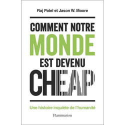 Comment notre monde est devenu cheap : Une histoire inquiète de l'humanité