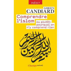 Comprendre l'islam - Ou plutôt : pourquoi on n'y comprend rien (Broché)