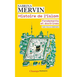 Histoire de l'islam - Fondements et doctrines (Broché)