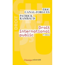 Droit international public