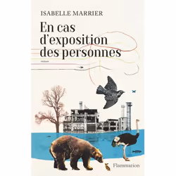 Flammarion En cas d'exposition des personnes, Littérature, Français, Livre broché, 288 pages