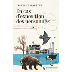 Flammarion En cas d'exposition des personnes livre Littérature Français