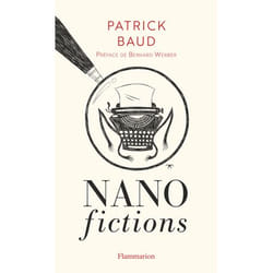 Flammarion Nanofictions livre Littérature Français