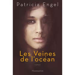 Flammarion Les Veines de l'océan, Littérature, Français, Livre broché, 480 pages