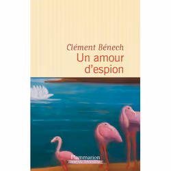 Flammarion Un amour d'espion, Littérature, Français, Livre broché, 276 pages