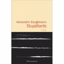 Flammarion Stupéfiants, Littérature, Français, Livre broché, 304 pages