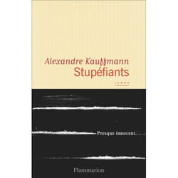Flammarion Stupéfiants livre Littérature Français