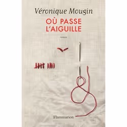 Flammarion Où passe l'aiguille, Littérature, Français, Livre broché, 458 pages