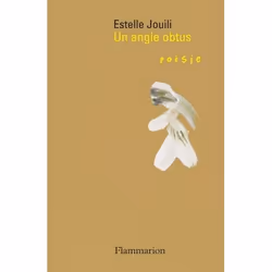 Flammarion Un angle obtus, fiction litéraire, Français, Livre broché, 128 pages