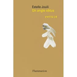 Flammarion Un angle obtus livre fiction litéraire Français
