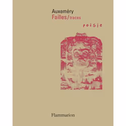 Flammarion Failles / traces, fiction litéraire, Français, Livre broché, 366 pages