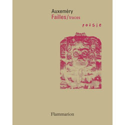 Flammarion Failles / traces livre fiction litéraire Français