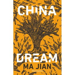 Flammarion China Dream livre Littérature Français