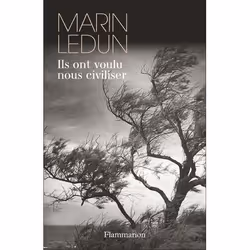 Flammarion Ils ont voulu nous civiliser, Thrillers, Français, Livre broché, 240 pages