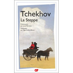 Flammarion La Steppe livre Littérature Français