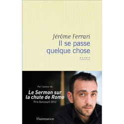 Flammarion IL SE PASSE QUELQUE CHOSE