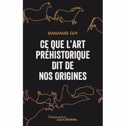 ISBN Ce que l'art préhistorique dit de nos origines, Livre broché, 352 pages