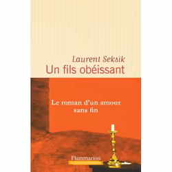 Flammarion Un fils obéissant, Littérature, Français, Livre broché, 256 pages