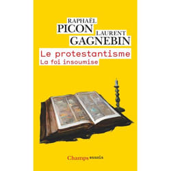 Le protestantisme - La foi insoumise (Broché)