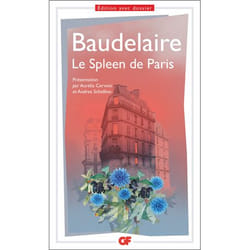 Flammarion Le Spleen de Paris livre Littérature Français
