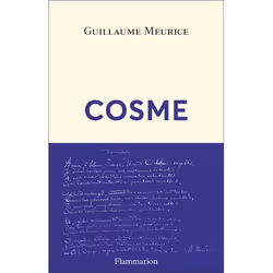 Flammarion Cosme, Littérature, Français, Livre broché, 336 pages