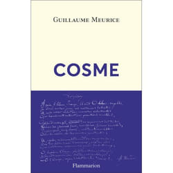 Flammarion Cosme livre Littérature Français