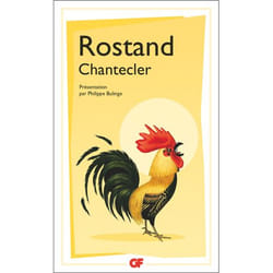 Flammarion Chantecler livre fiction litéraire Français