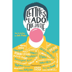 Flammarion Lettres à l'ado que j'ai été livre Littérature Français