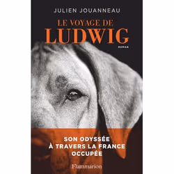 ISBN Le Voyage de Ludwig, 208 pages