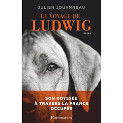 Le Voyage de Ludwig