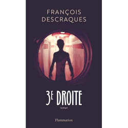 Flammarion 3e droite livre Littérature Français