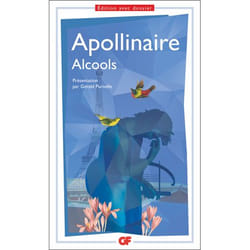 Flammarion Alcools livre poésie Français