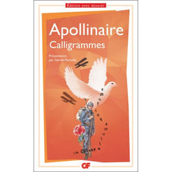 Flammarion Calligrammes livre poésie Français