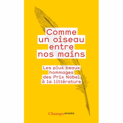 Flammarion Comme un oiseau entre nos mains, Littérature, Français, Livre broché, 256 pages