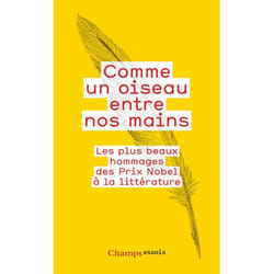Flammarion Comme un oiseau entre nos mains livre Littérature Français