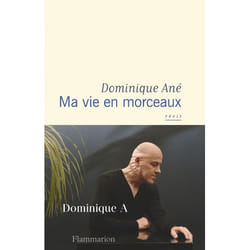 Flammarion Ma vie en morceaux livre Littérature Français