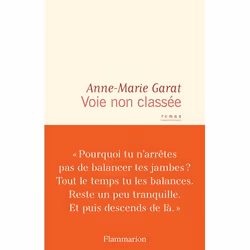 Flammarion Voie non classée, Littérature, Français, Livre broché, 280 pages