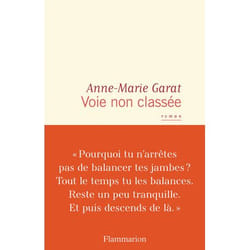 Flammarion Voie non classée livre Littérature Français