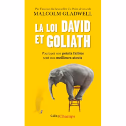 ISBN La loi David et Goliath, 288 pages