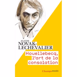 ISBN Houellebecq, l'art de la consolation, 306 pages