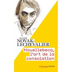 Houellebecq, l'art de la consolation