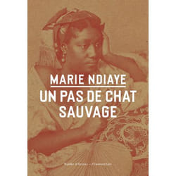 Un pas de chat sauvage