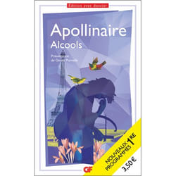 Alcools - BAC 2023 - Parcours "Modernité poétique ?" (Broché)
